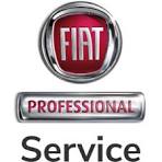 Fiat professional service